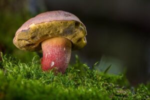 まつ毛がボリューム足りないと感じる悩みを解決する方法は？