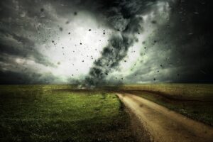 まつ毛のダメージを修復する美容液はどれがおすすめ？