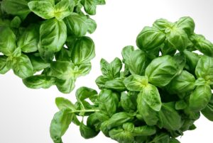 まつ毛育毛剤の成分と使用時の注意点は？