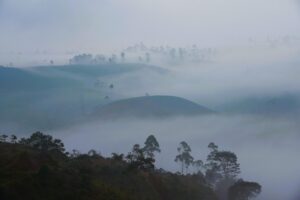 まつ毛育毛を早く実感する方法は？