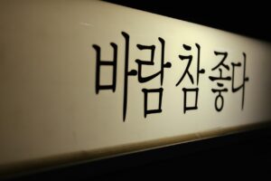 まつ毛を伸ばす方法は本当に伸びるのか？