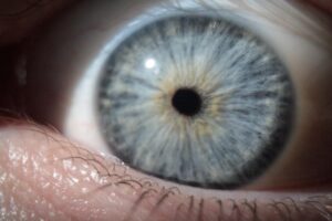 まつ毛育毛の成分は本当に効果的？選び方と注意点を解説！